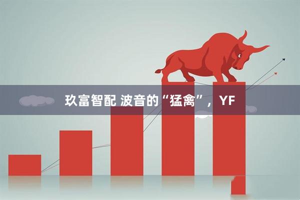 玖富智配 波音的“猛禽”，YF