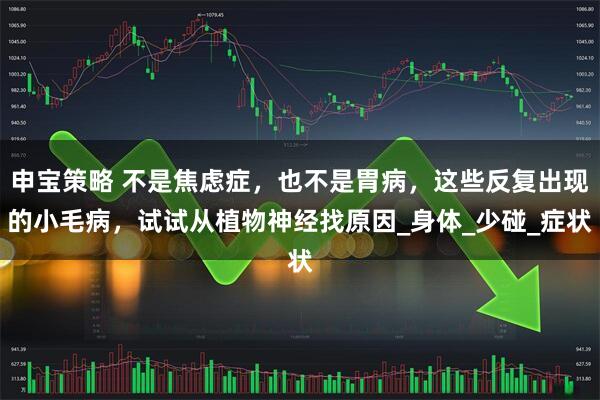 申宝策略 不是焦虑症，也不是胃病，这些反复出现的小毛病，试试从植物神经找原因_身体_少碰_症状