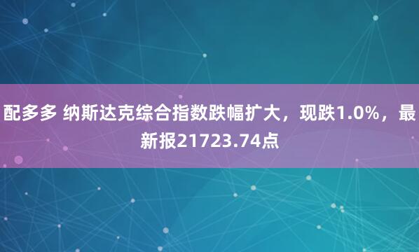 配多多 纳斯达克综合指数跌幅扩大，现跌1.0%，最新报21723.74点