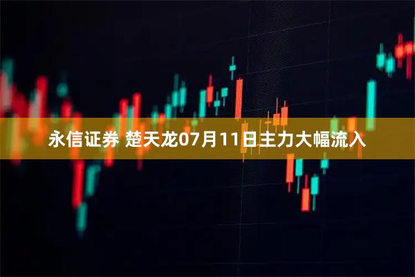 永信证券 楚天龙07月11日主力大幅流入
