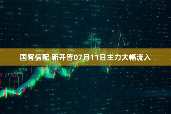 国客信配 新开普07月11日主力大幅流入