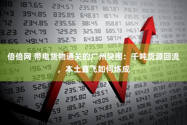 倍倍网 带电货物通关的广州突围：千吨货源回流，本土直飞如何炼成