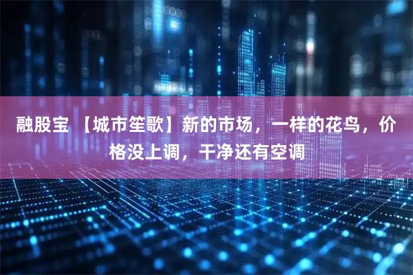 融股宝 【城市笙歌】新的市场，一样的花鸟，价格没上调，干净还有空调