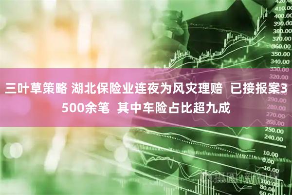 三叶草策略 湖北保险业连夜为风灾理赔  已接报案3500余笔  其中车险占比超九成